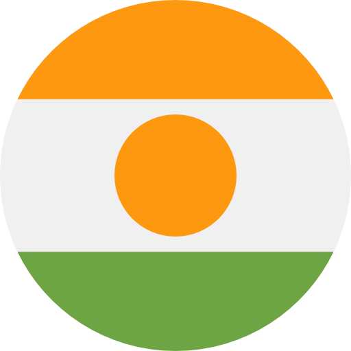 Niger icon
