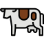 Cow icon 64x64