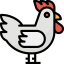 Chicken icon 64x64
