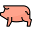 Pig icon 64x64