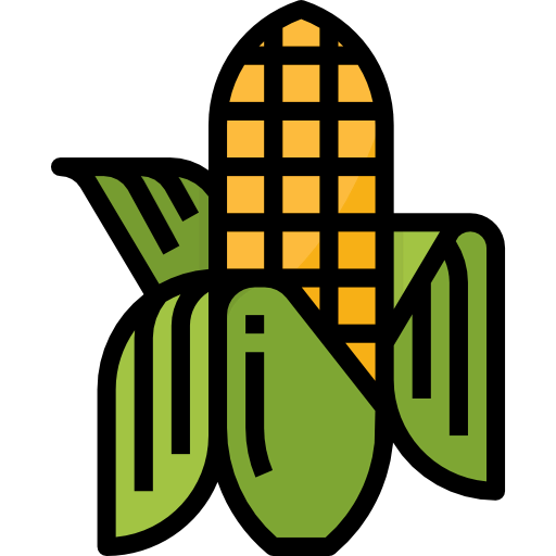 Corn icon