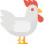 Chicken icon 64x64