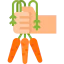 Organic food icon 64x64
