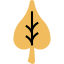 Leaf icon 64x64