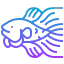 Fighting fish 图标 64x64