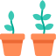 Plant icon 64x64
