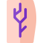 Veins icon 64x64