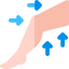 Leg icon 64x64