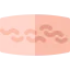 Scar icon 64x64