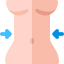Liposuction Ikona 64x64