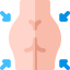 Butt icon 64x64