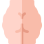 Cellulitis icon 64x64