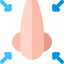 Nose Ikona 64x64