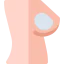 Breast implant icon 64x64
