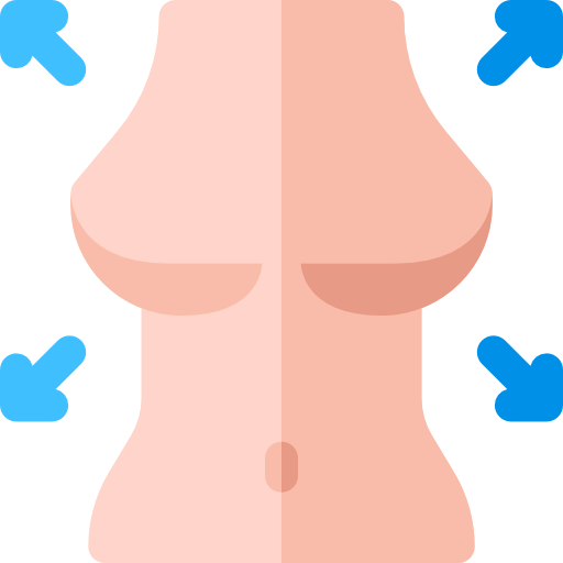 Breasts icon