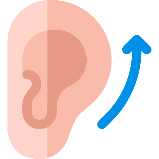 Ear icon