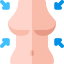 Liposuction Ikona 64x64