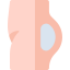 Butt icon 64x64