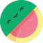 Watermelon icon 64x64