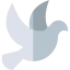 Dove icon 64x64