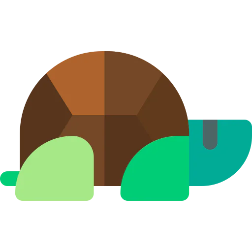 Tortoise icon