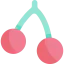 Cherry icon 64x64