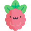 Raspberry 상 64x64