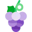 Grapes icon 64x64