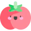 Tomatoe icon 64x64