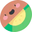 Kiwi icon 64x64