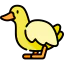 Duck icon 64x64