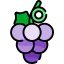 Grapes icon 64x64