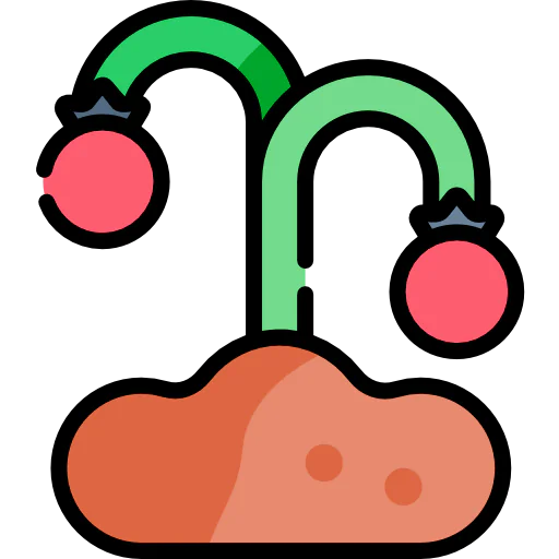 Tomatoes icon