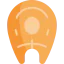 Salmon icon 64x64