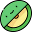 Cantaloupe icon 64x64