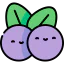 Blueberry icon 64x64