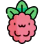 Raspberry 상 64x64