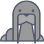 Sea lion icon 64x64
