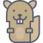 Squirrel icon 64x64