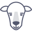 Sheep icon 64x64