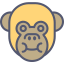 Monkey icon 64x64