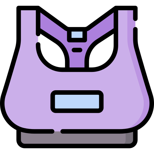 Bra icon