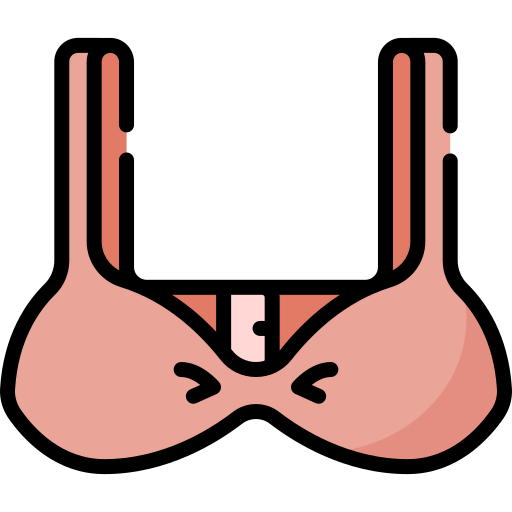Bra icon