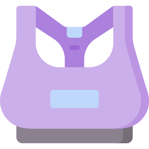 Bra icon