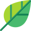 Leaf icon 64x64