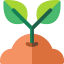Sprout icon 64x64