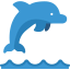 Дельфин иконка 64x64