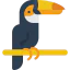 Toucan icône 64x64