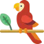 Parrot icon 64x64