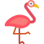 Flamingo іконка 64x64